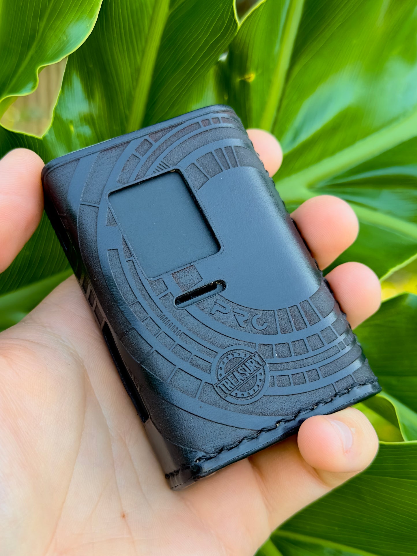 Protocol:IonBox Leather VCase (Custom)